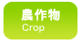 農作物