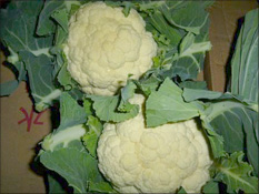 カリフラワー
