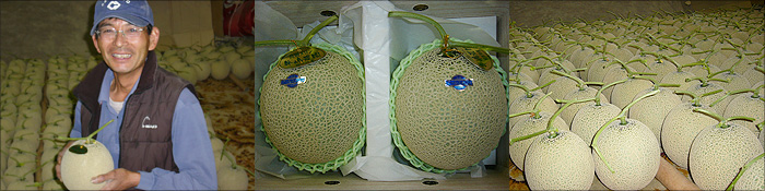 アールスメロン