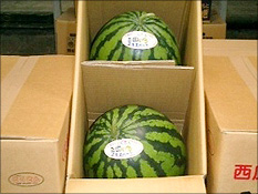 三国いちエキスパート西瓜