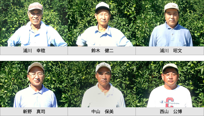 アールスメロン