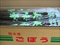 サラダ牛蒡　美味蒡（おいしんぼう）