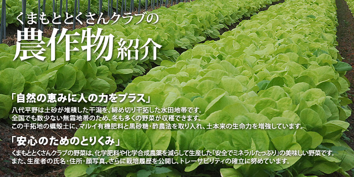 くまもととくさんクラブの農作物紹介