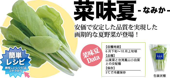 菜味夏(なみか)