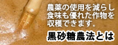 黒砂糖酢農法